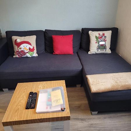 Appartement Au Cigogneau Wifi-Netflix-Balcon-Parking مونستر المظهر الخارجي الصورة