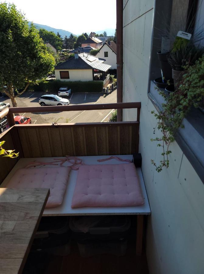 Appartement Au Cigogneau Wifi-Netflix-Balcon-Parking مونستر المظهر الخارجي الصورة