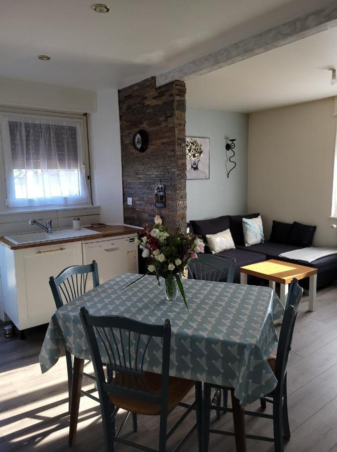 Appartement Au Cigogneau Wifi-Netflix-Balcon-Parking مونستر المظهر الخارجي الصورة