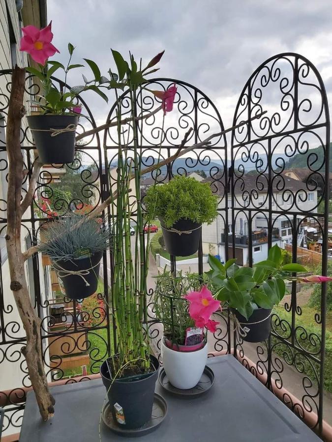 Appartement Au Cigogneau Wifi-Netflix-Balcon-Parking مونستر المظهر الخارجي الصورة