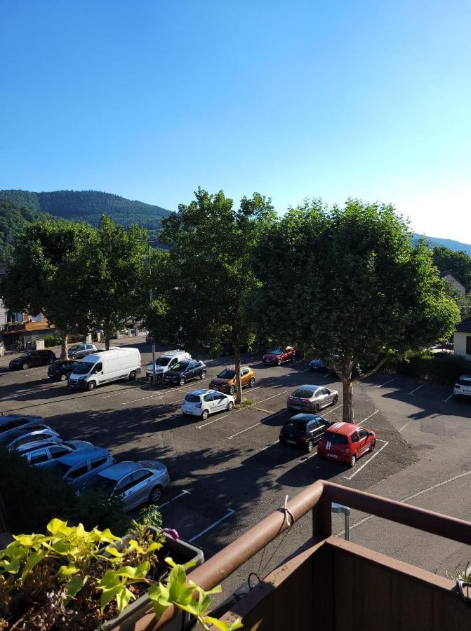 Appartement Au Cigogneau Wifi-Netflix-Balcon-Parking مونستر المظهر الخارجي الصورة